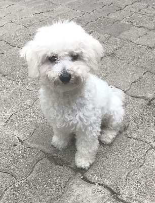 Astro